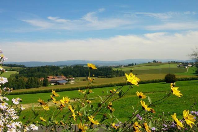 Ferienwohnung Im Bayerischen Wald Tittling Eksteriør billede